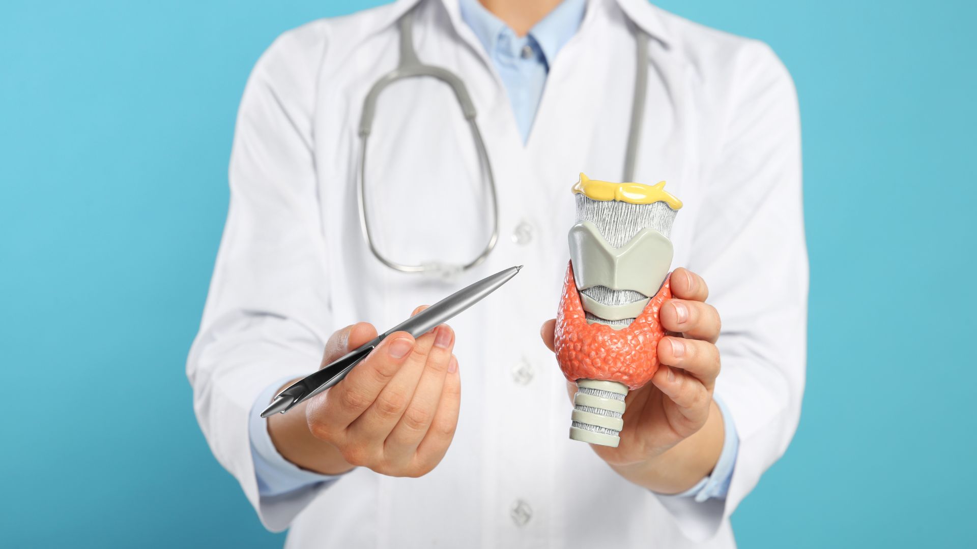 Como e Quando Visitar um Endocrinologista Guia Completo